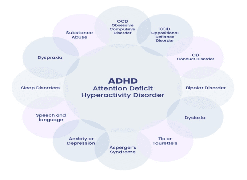 A circle with the words adhd written in it.